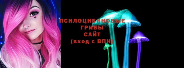 метадон Инта