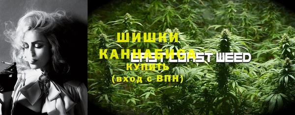 метадон Инта