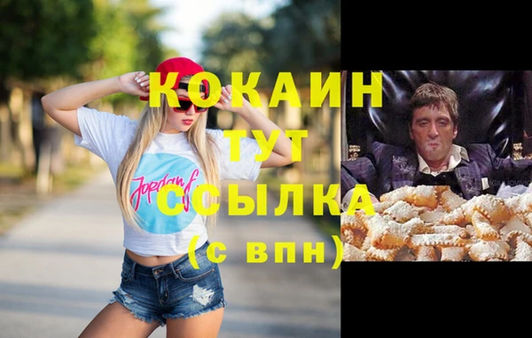 твердый Зеленокумск