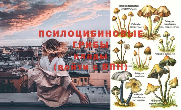 метамфетамин Инсар