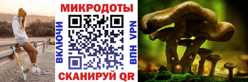 Купить где  Заозёрный  Галлюциногенные грибы мицелий 